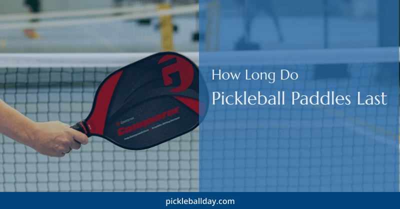 a pickleball paddle over the net on the court